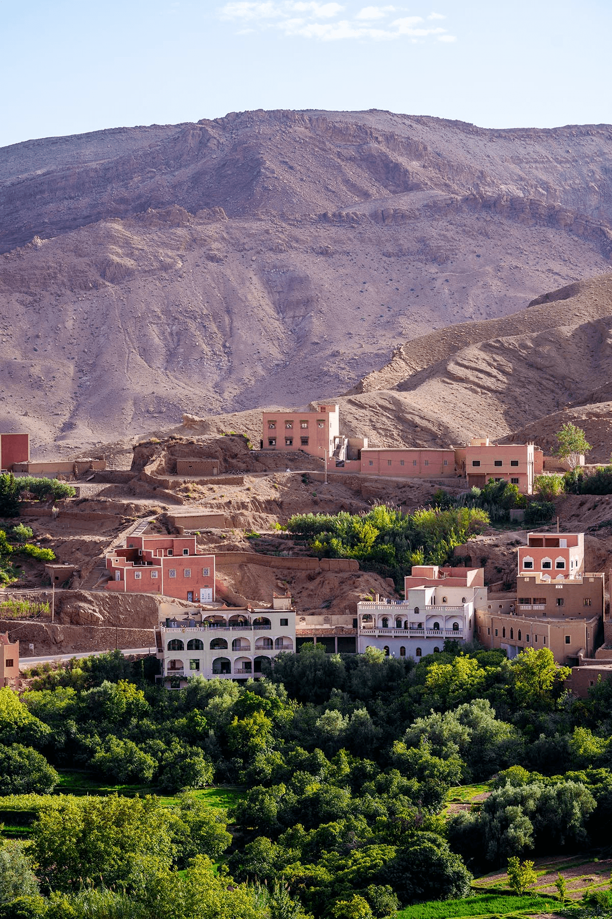 MOKAFÉ culture collage 1